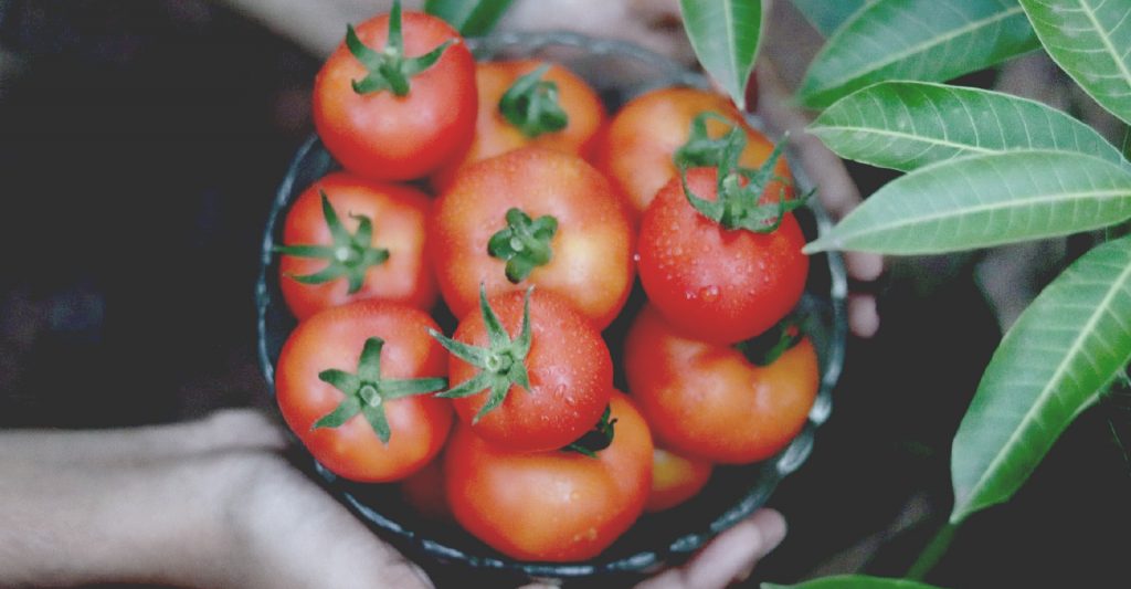 tomates proximidad